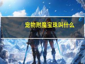 宠物附魔宝珠叫什么