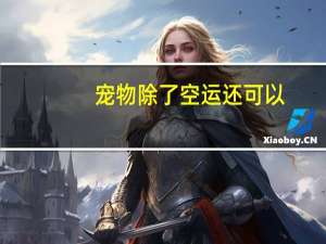 宠物除了空运还可以