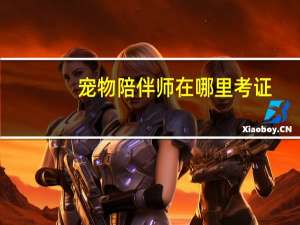 宠物陪伴师在哪里考证