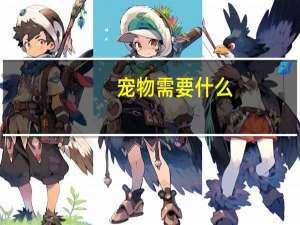 宠物需要什么