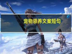 宠物领养文案短句