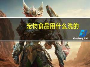 宠物食品用什么洗的