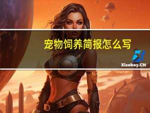 宠物饲养简报怎么写