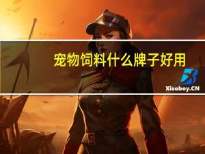 宠物饲料什么牌子好用
