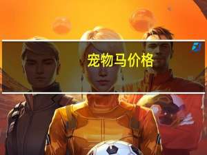 宠物马价格