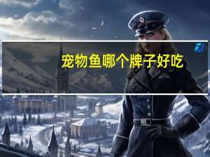 宠物鱼哪个牌子好吃