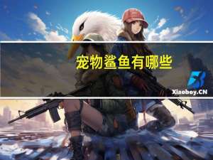 宠物鲨鱼有哪些