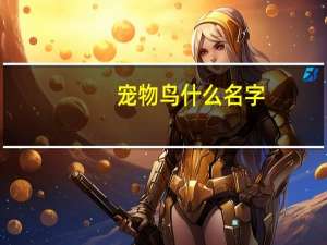 宠物鸟什么名字