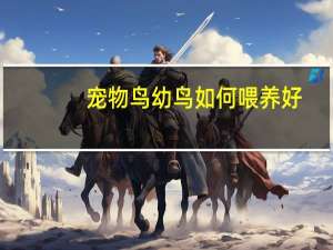 宠物鸟幼鸟如何喂养好