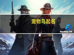 宠物鸟起名