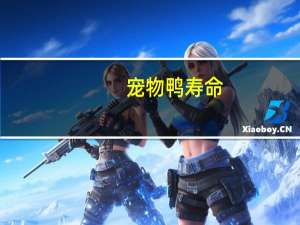 宠物鸭寿命