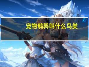宠物鹌鹑叫什么鸟类