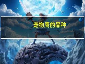 宠物鹰的品种