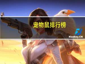 宠物鼠排行榜