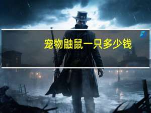 宠物鼬鼠一只多少钱