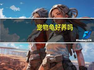 宠物龟好养吗