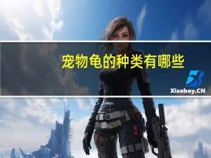 宠物龟的种类有哪些