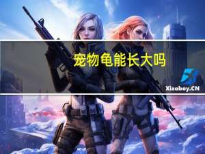 宠物龟能长大吗