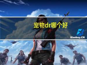 宠物dr哪个好