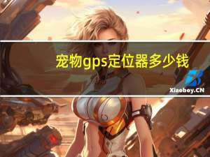 宠物gps定位器多少钱
