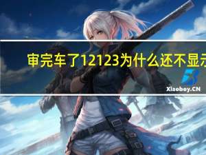 审完车了12123为什么还不显示