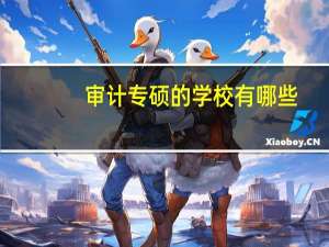 审计专硕的学校有哪些