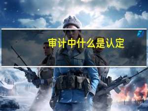 审计中什么是认定