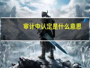 审计中认定是什么意思