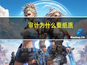 审计为什么要纸质