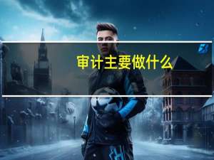 审计主要做什么