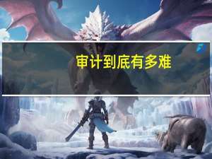 审计到底有多难