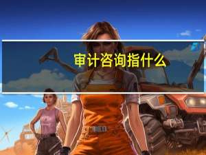 审计咨询指什么