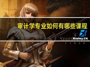 审计学专业如何有哪些课程