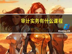 审计实务有什么课程