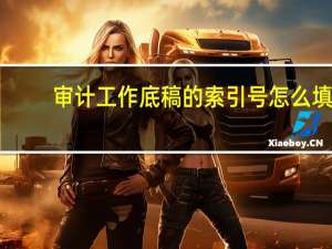 审计工作底稿的索引号怎么填