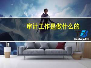 审计工作是做什么的