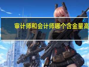 审计师和会计师哪个含金量高