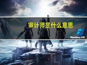 审计师是什么意思