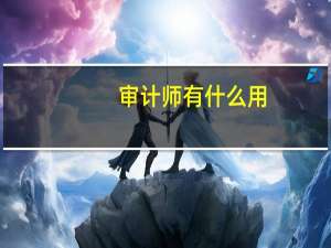 审计师有什么用