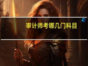 审计师考哪几门科目