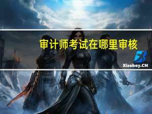 审计师考试在哪里审核