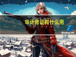 审计师证有什么用