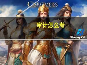 审计怎么考