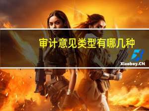 审计意见类型有哪几种