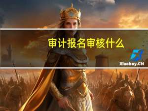 审计报名审核什么