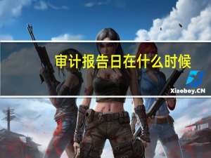 审计报告日在什么时候