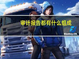 审计报告都有什么组成