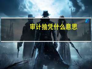 审计抽凭什么意思