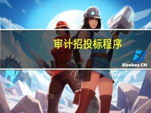 审计招投标程序