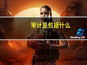 审计是包括什么